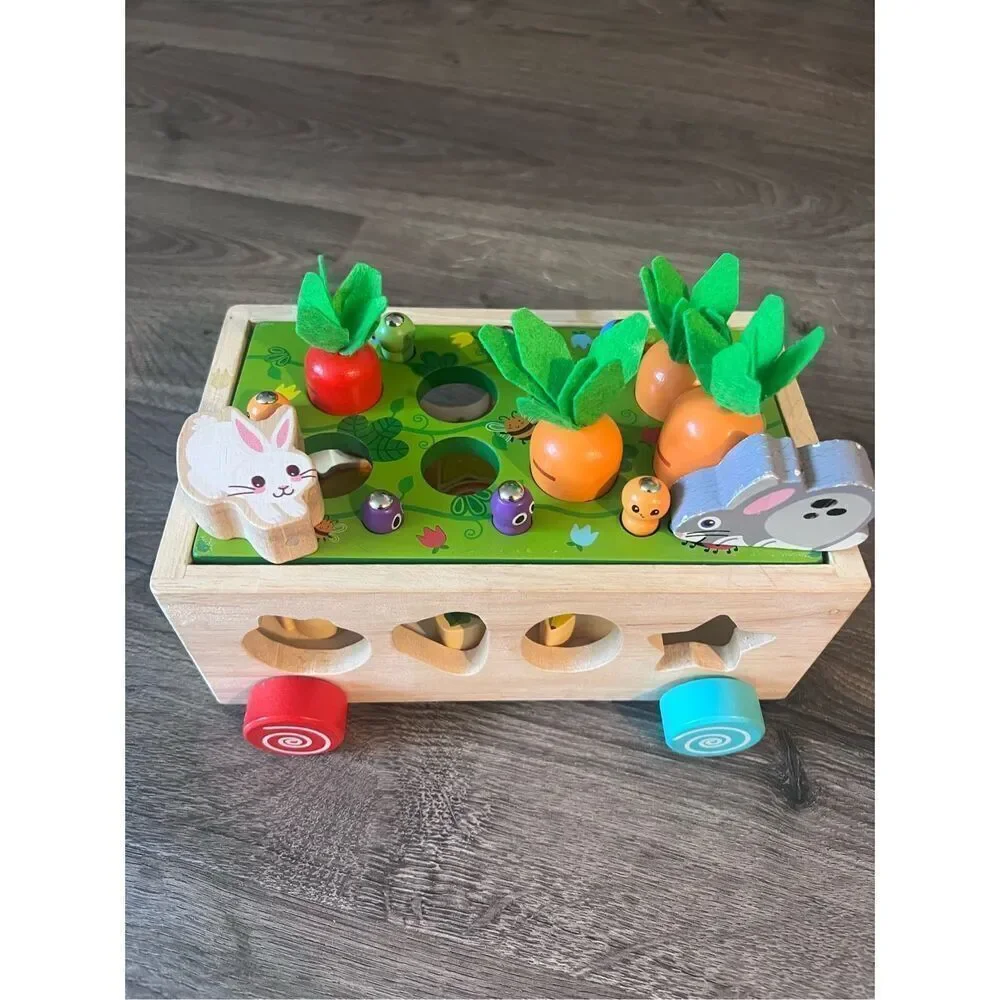 Toddlers Montessori Wooden Educational Toys for Baby Boys Girls Age 1 2 3 Year O